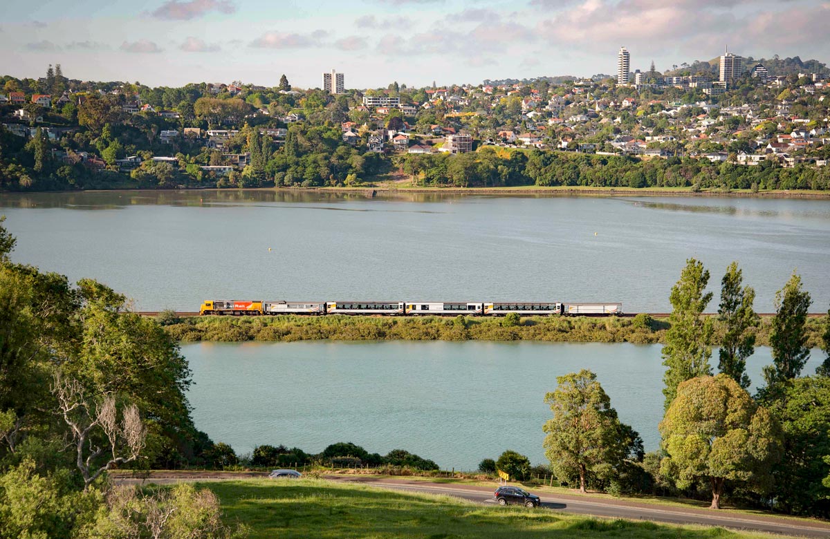 Magical King Country Auckland Great Journeys NZ
