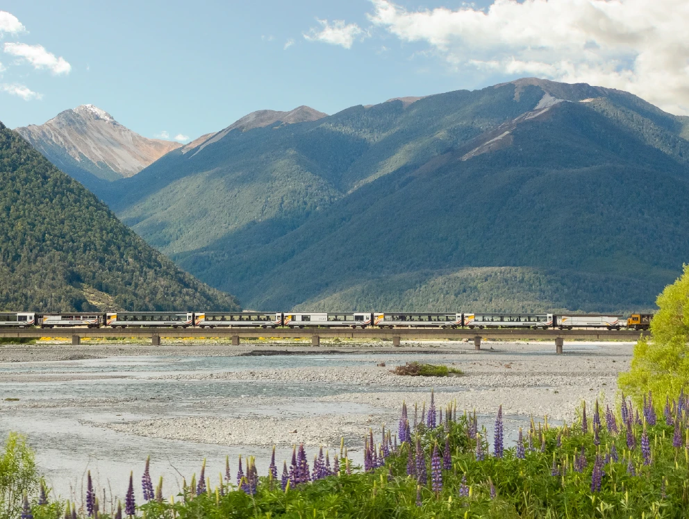 TranzAlpine train with a scenic alpine view