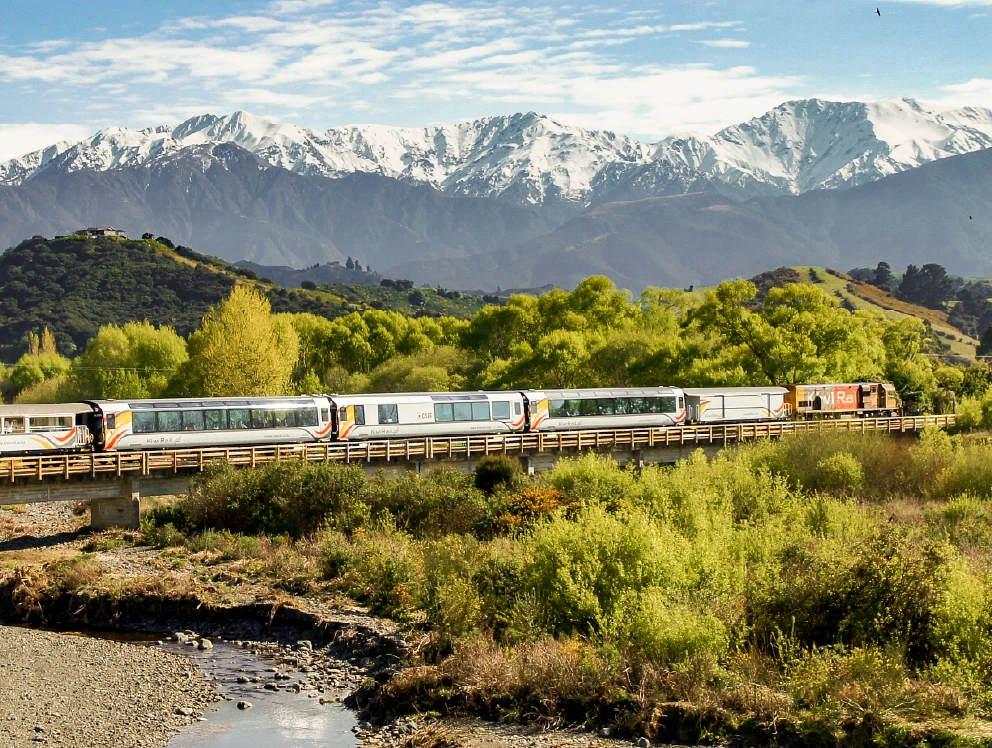 Coastal Pacific in Kaikōura