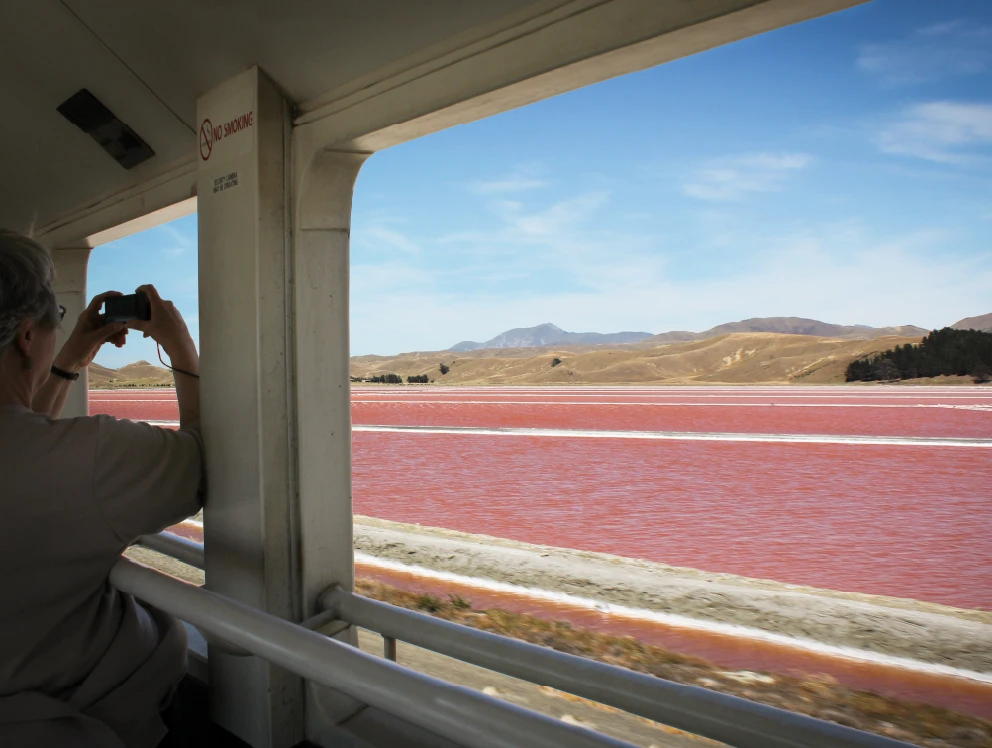 View out the open air viewing carriage of Grassmere Saltworks, Blenheim's pink lakes