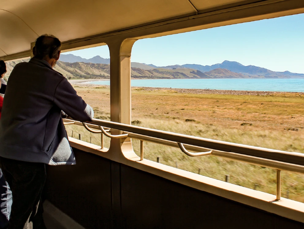 man standing n the open air viewing carriage looking out at the view on the Coastal Pacific journey