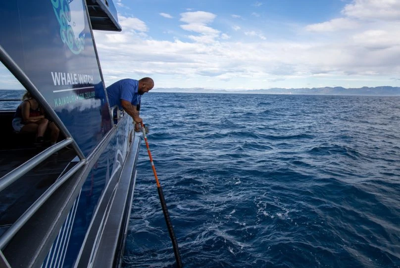 Listening for whales during Whale Watching in Kaikōura