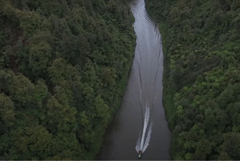 Aerial shot of the Whanganui river dividing a valley with thick native bush on either side