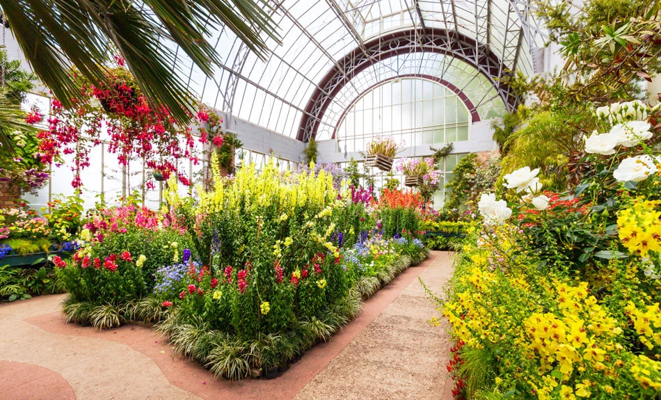 Inside the greenhouse at Auckland Winter Gardens