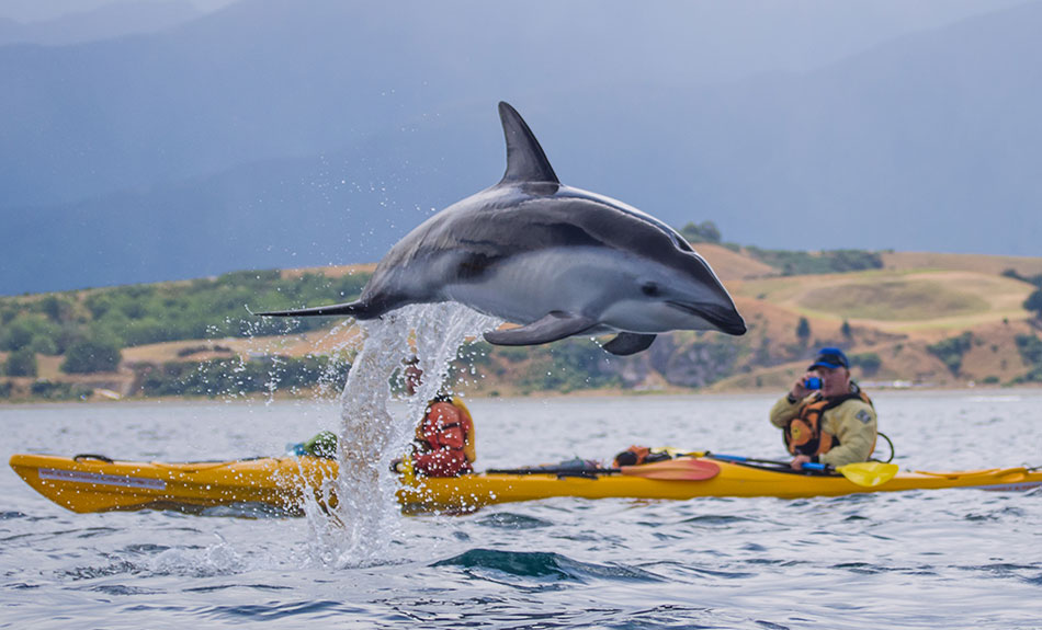 FF8 Kaikoura Kayaks 975x575