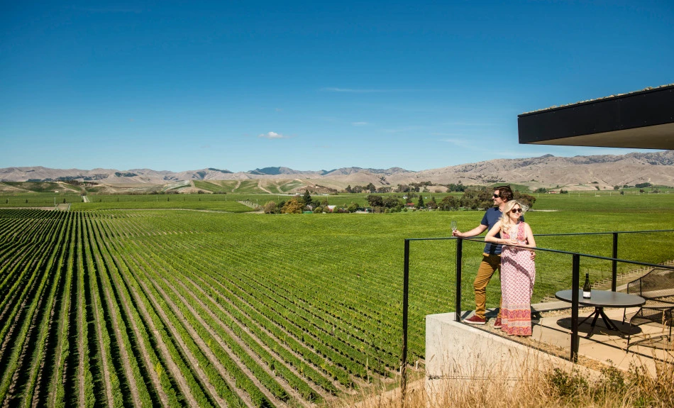 Couple looking over the balcony at Marlborough vineyards