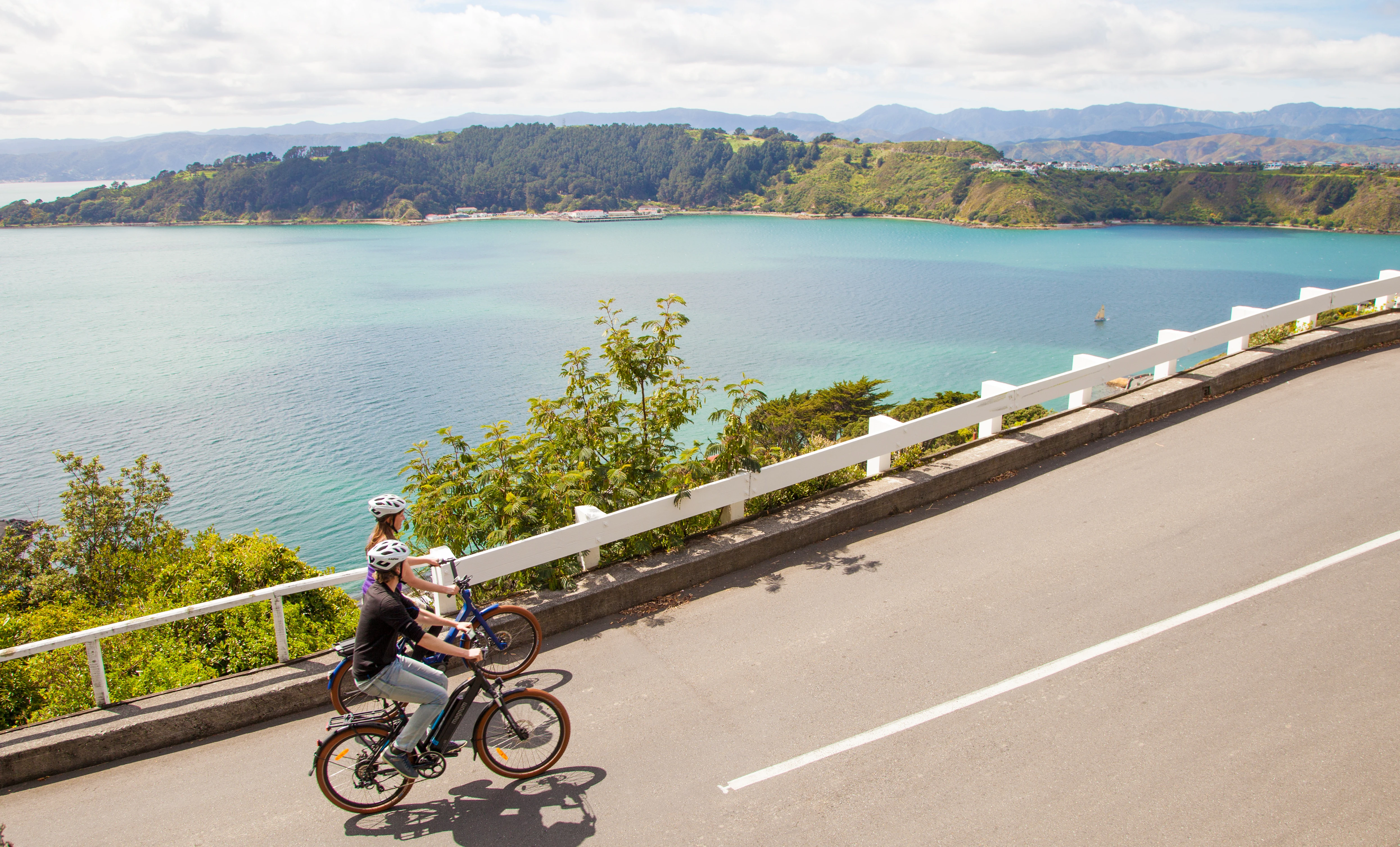 Climbing Mt Victoria on bikes in Wellington