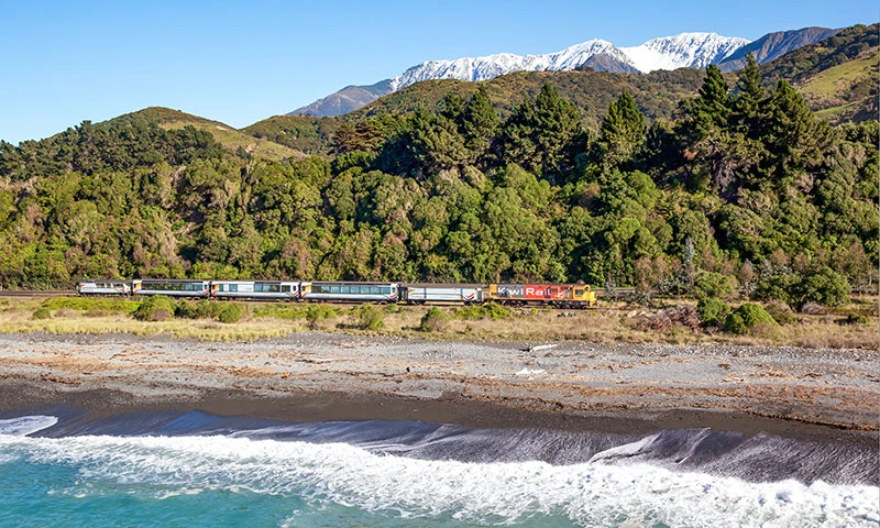 Travel along the divide between mountains and coast on the Coastal Pacific