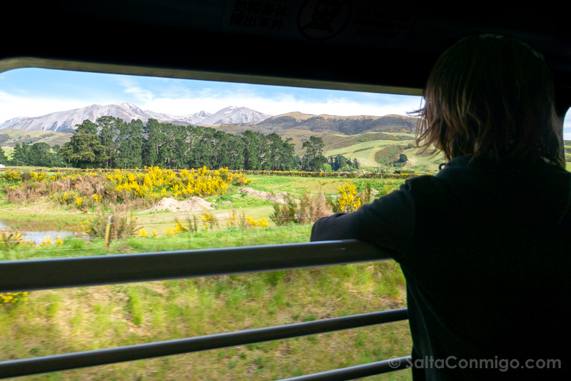 TranzAlpine Train Nueva Zelanda Sara Open Air Viewing Carriage
