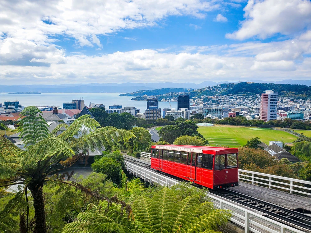 View from the top of Wellington Botanic Gardens of the Wellington Cable Car