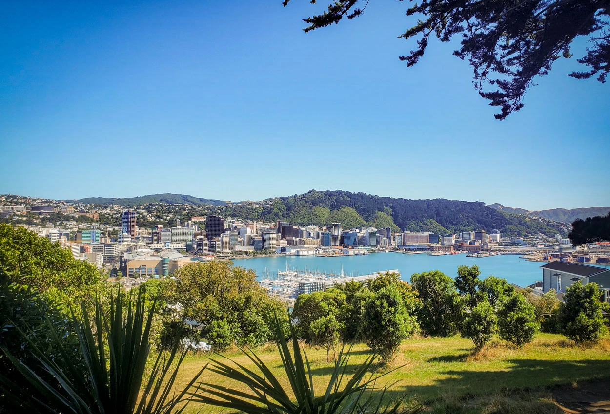 Wellington View from Plimmer Walk, Mount Victoria