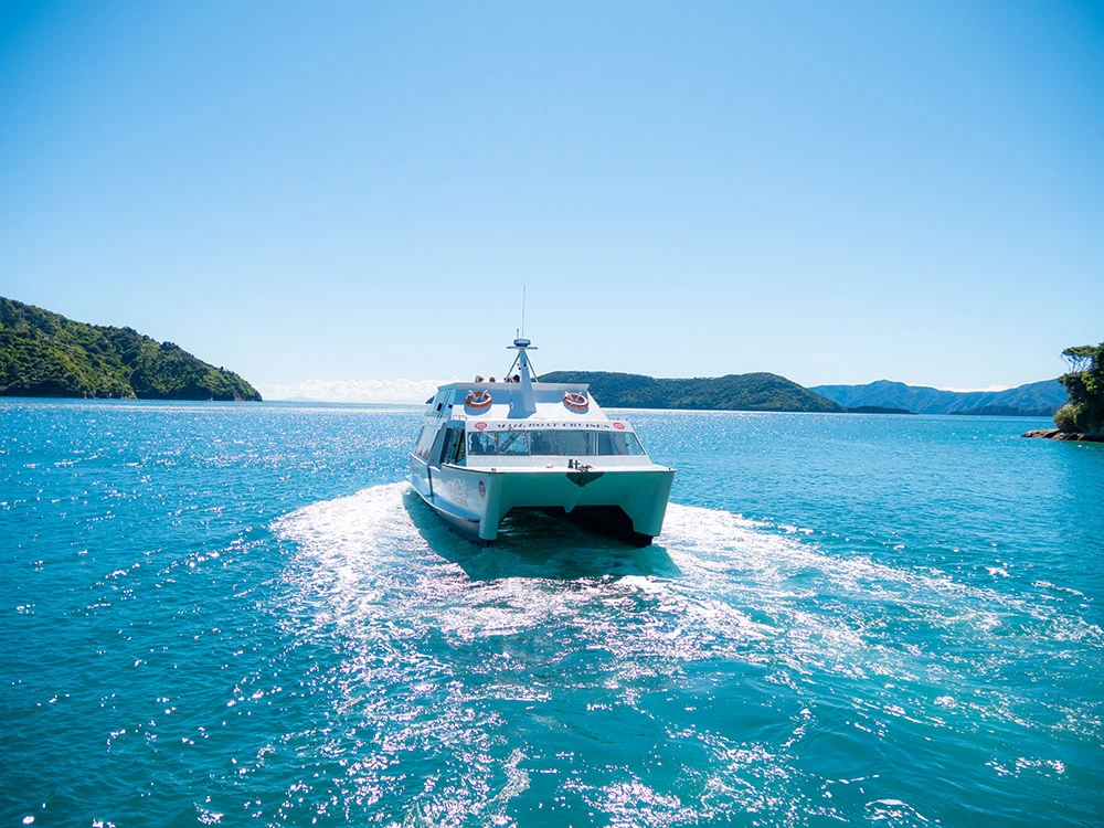 Travel through the Marlborough Sound on the Ship Cove cruise