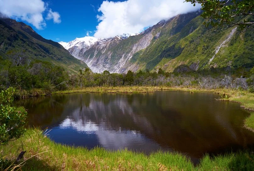 Peter's Pool at Franz Josef