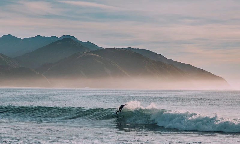 Explore the coast in Kaikōura