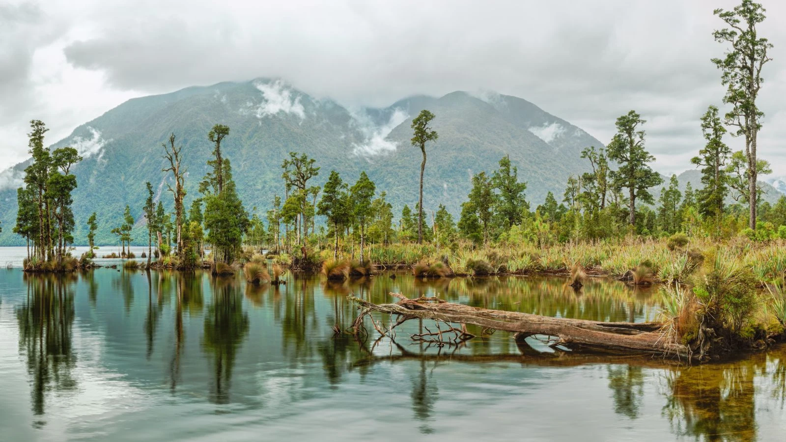 Reflecting mountains and forest on Lake Brunner