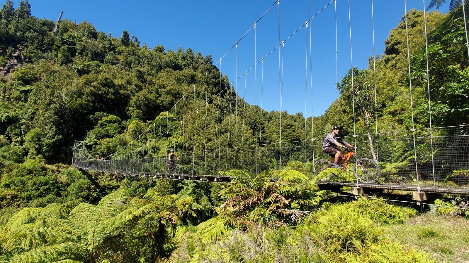 Biking over the Taumarunui Timber Trail Suspension Bridge