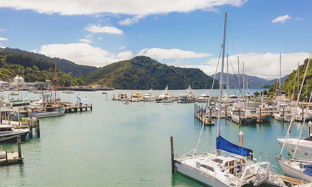 Picton Marina looking at the Queen Charlotte Sound