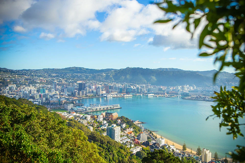 View over Wellington harbour from Mount Victoria