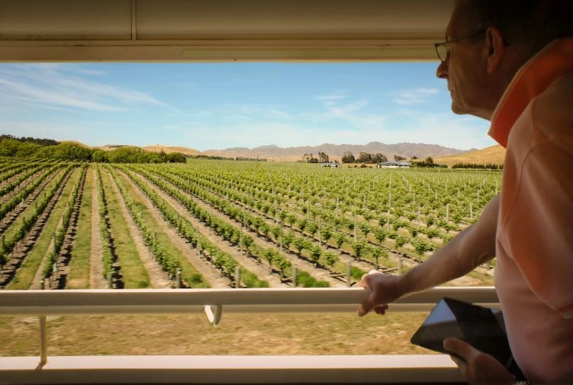 Awatere Valley vineyards in Marlborough from the Coastal Pacific open air viewing carriage