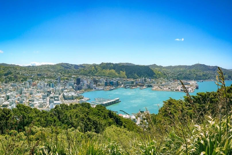View over Wellington from Mount Victoria