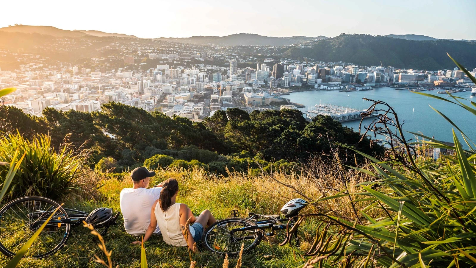 Mount Victoria lookout over Wellington city