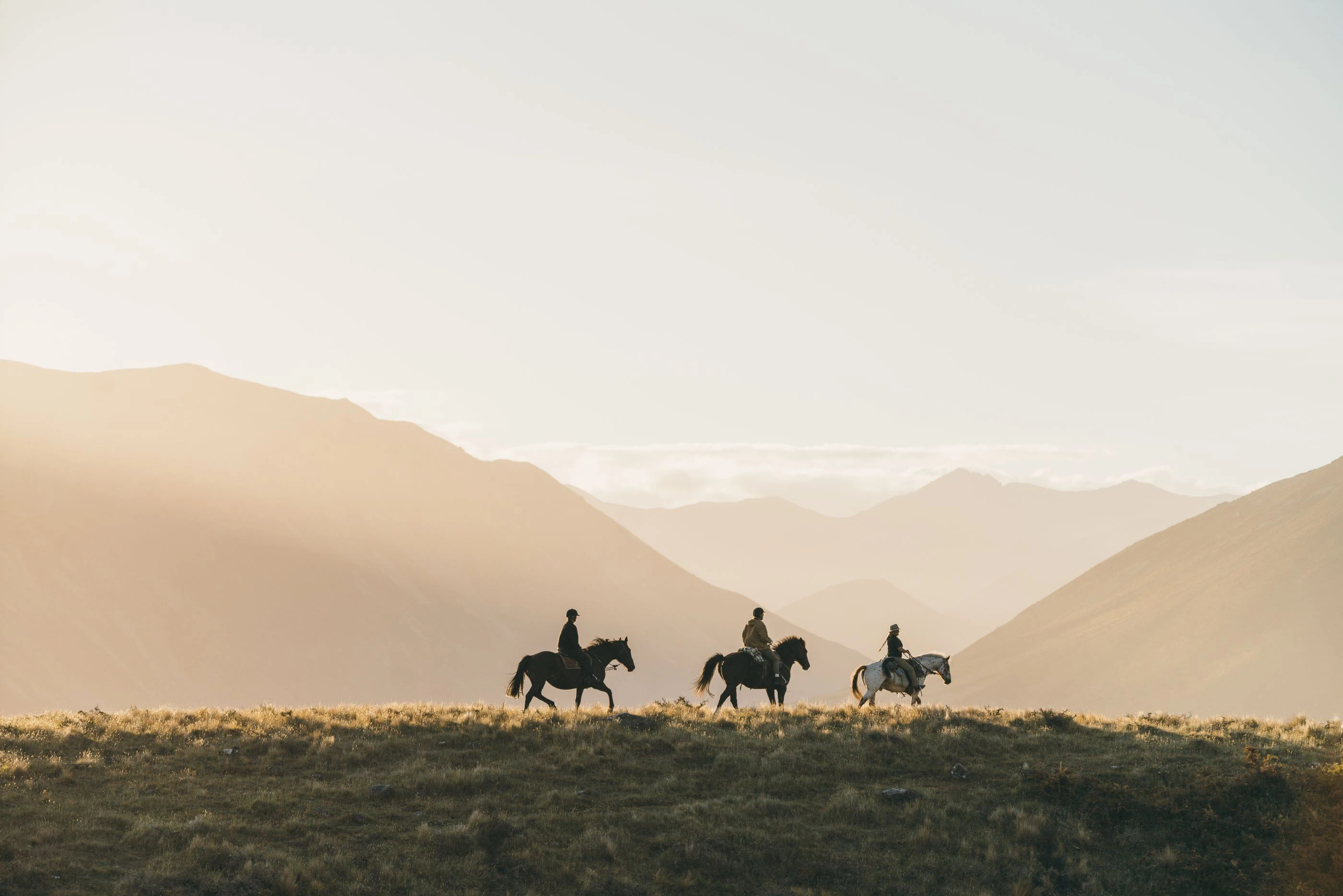 Horse trekking at Flockhill