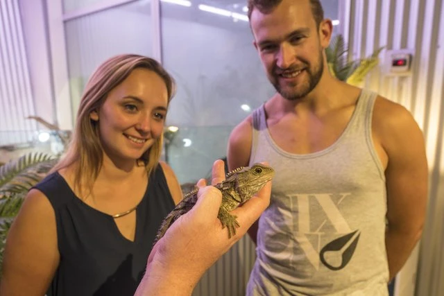 Couple looking at a Tuatara at the West Coast Wildlife Center