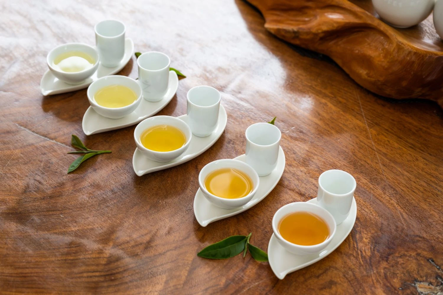 samples of tea from Zealong tea
