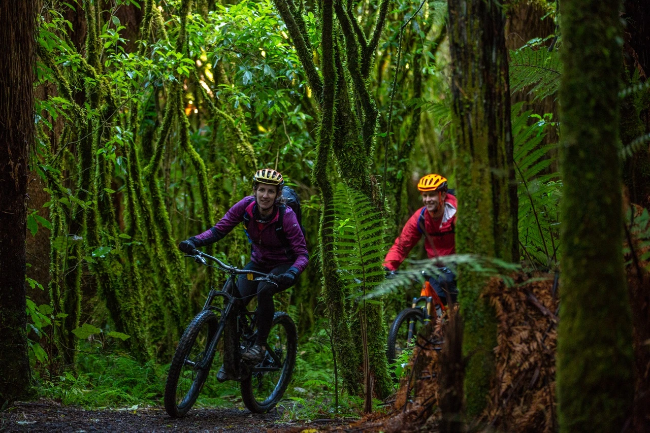 Women cycling through native bush in Ohakune