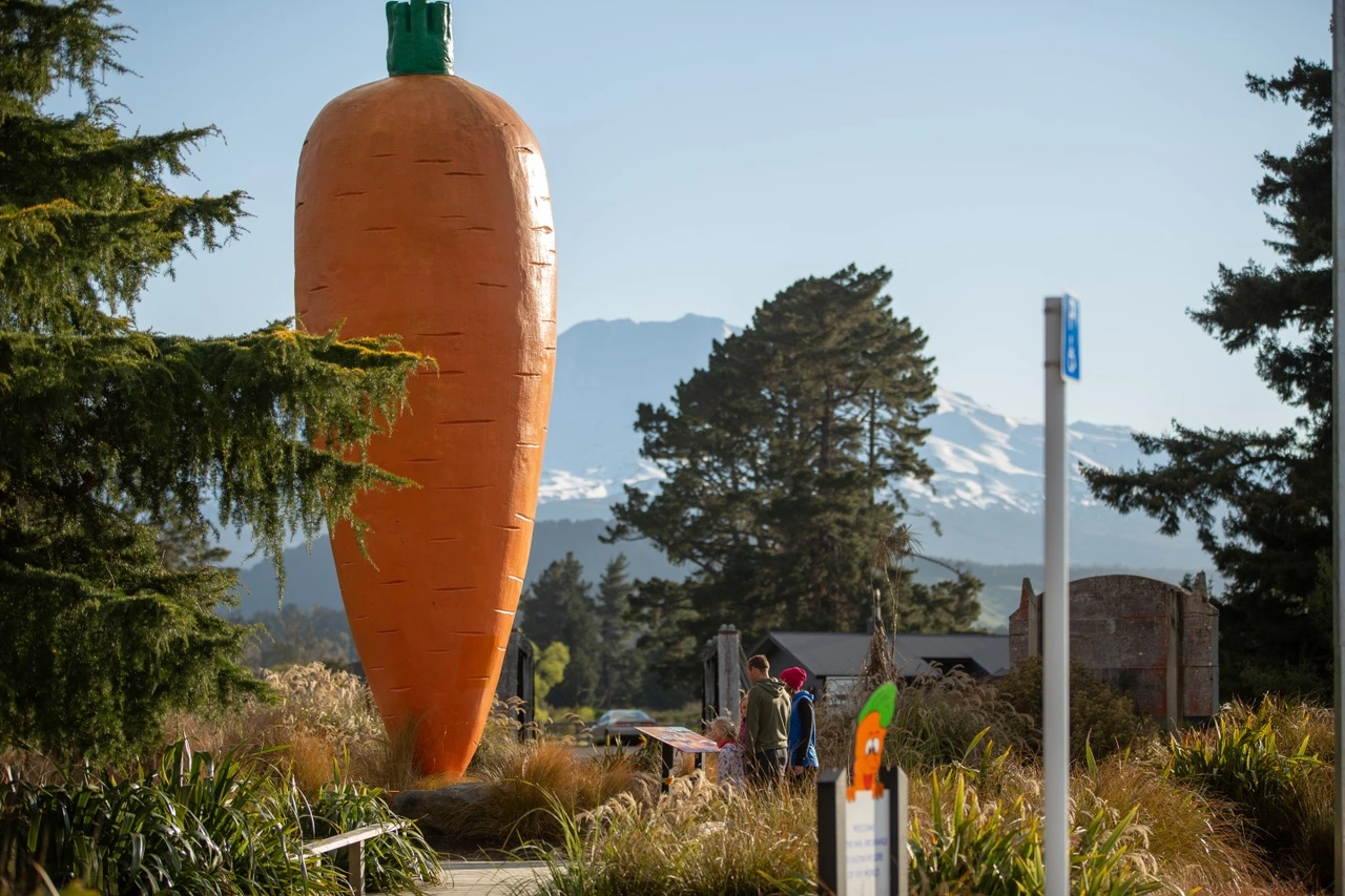 Ohakune giant carrot