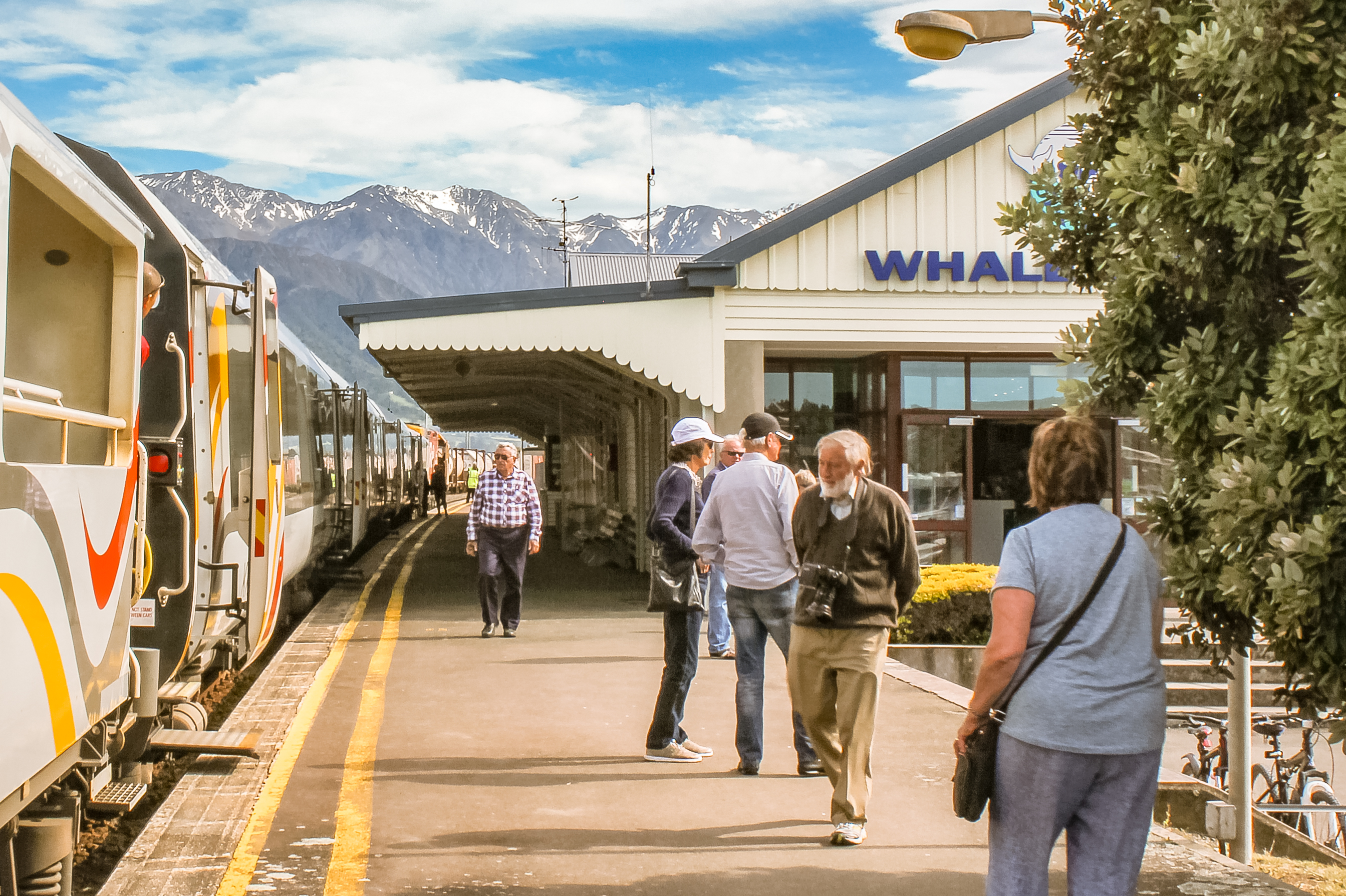 Day 7 Coastal Pacific Waiting at Kaikoura Station RH0597 CAQ15