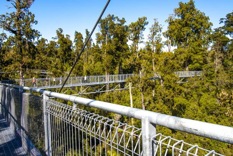 Hokitika Tree Top Walk