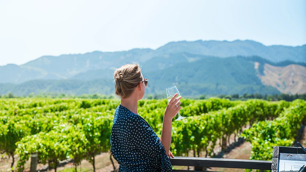 Woman enjoying a glass of wine among Marlborough grapevines