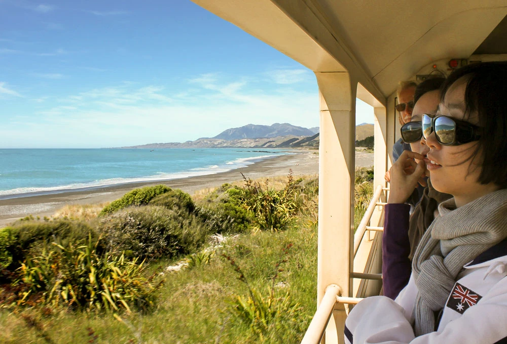 Watching the coastline pass by in the open air viewing carriage