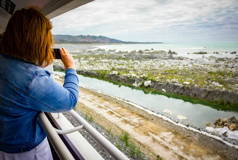 Lifted seabed of Waipapa Bay viewed from the Coastal Pacific open air viewing carriage