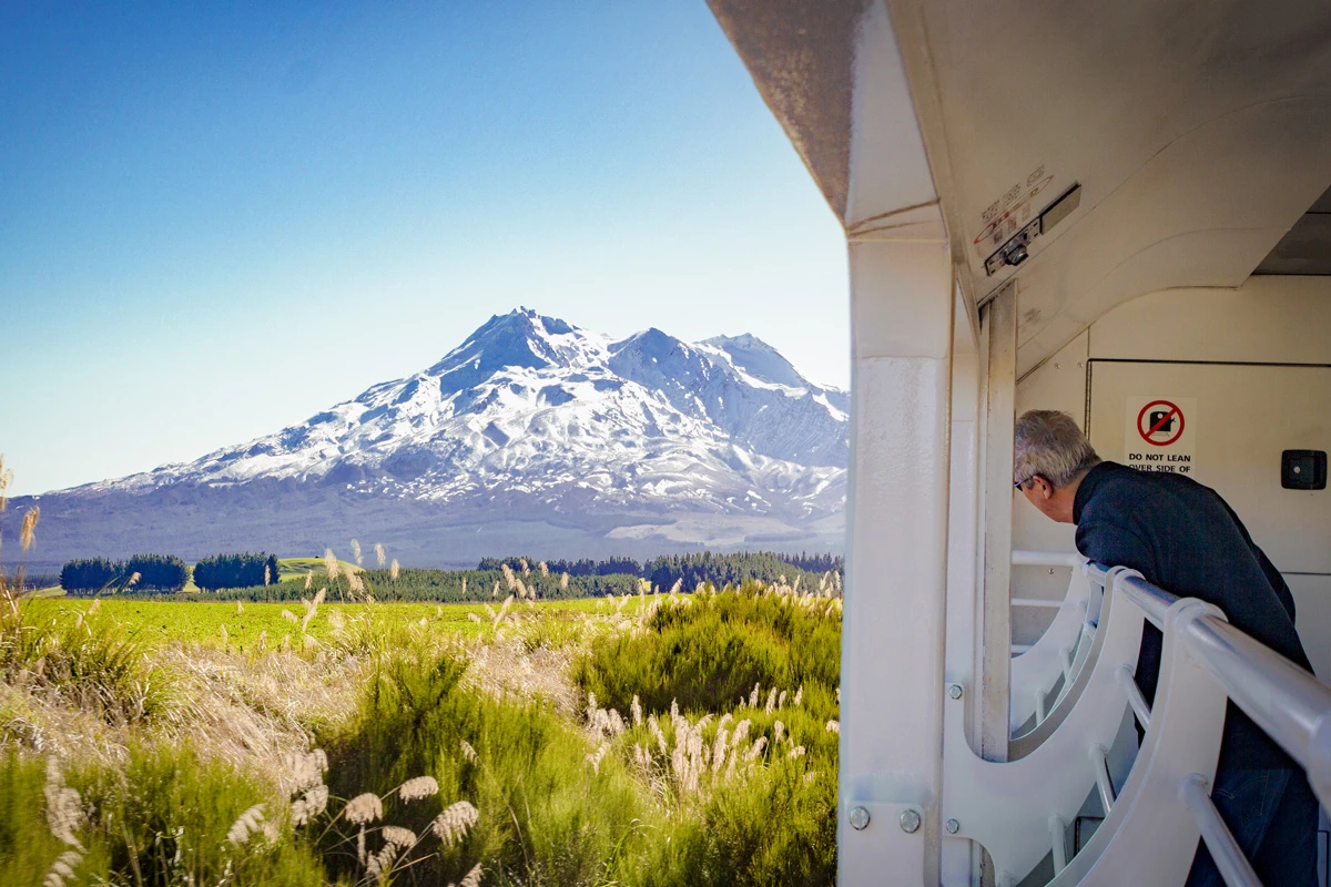 Northern Explorer man looks out at Rupehu north of Waiouru in summer